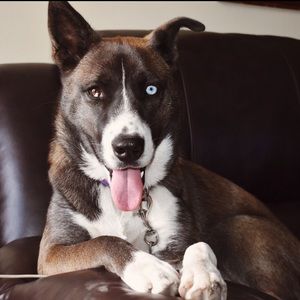 Meet your Posher, Thalia